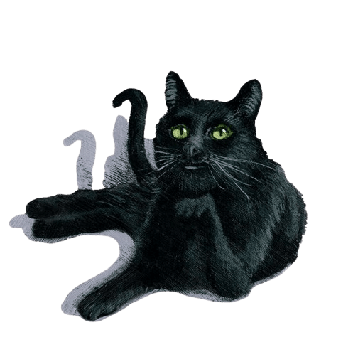 Illustrationer Els Cools