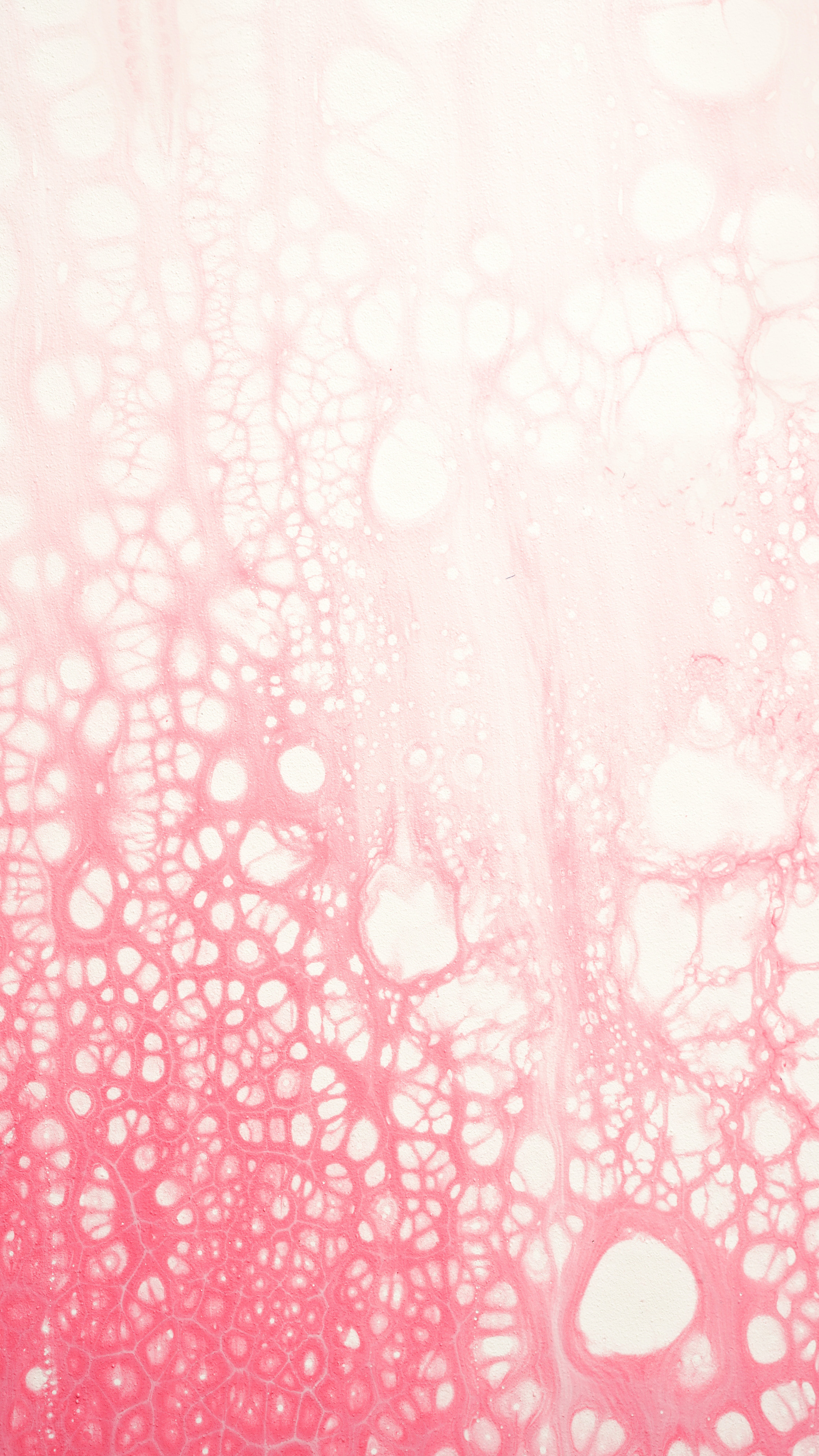 ilya-lix-QAj0DLBJ974-unsplash      fly-d-XMcnWDDldLY-unsplash